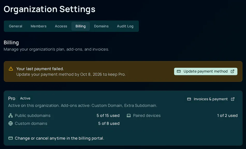 The Billing tab during the grace period after a failed renewal. An amber banner reads Your last payment failed, Update your payment method by a date to keep Pro, with an Update payment method button. Below it, the summary card still reads Pro, Active, with its add-ons and usage rows.